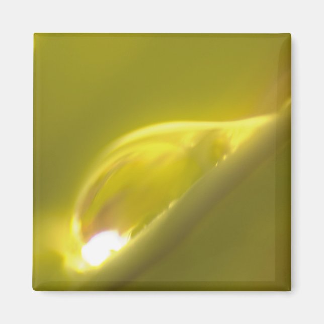 Water Drop Magnet 3 (Front)