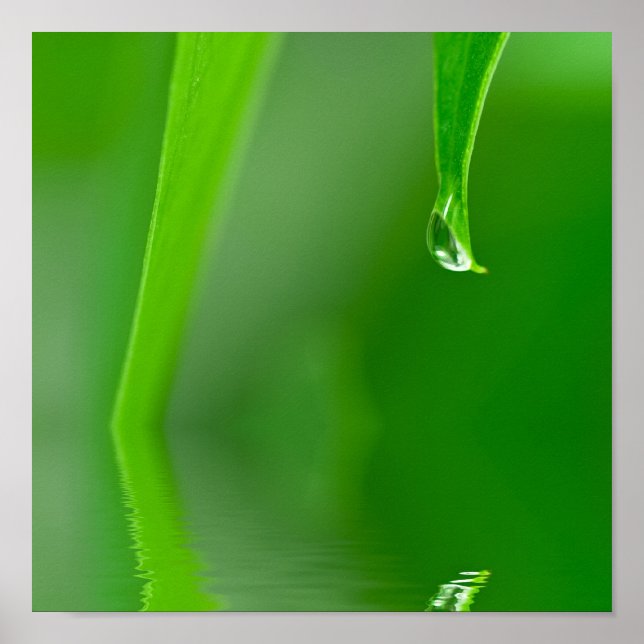 Water drop Poster (Front)