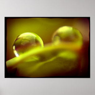 Water Drop Poster