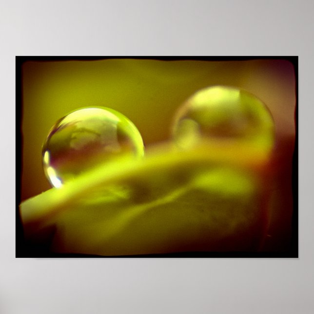Water Drop Poster (Front)