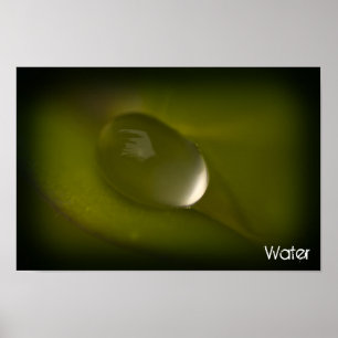 Water Drop Poster 2