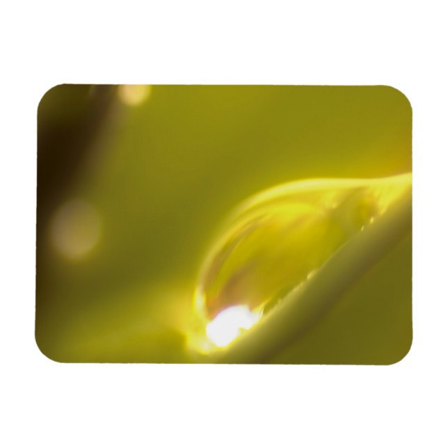 Water Drop Premium Magnet 3 (Horizontal)