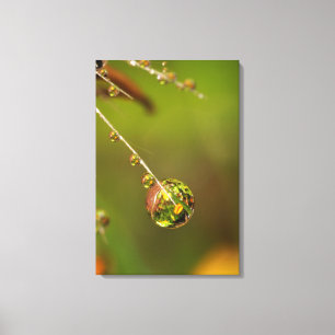 Water Droplet Close Up Canvas Print