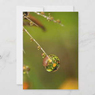 Water Droplet Close Up Card