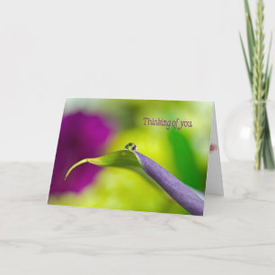 water droplet on lily leaf-Thinking of You Card