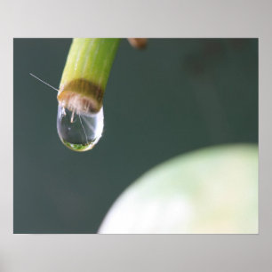 Water Droplet Poster