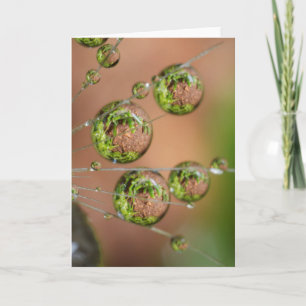 Water Droplet Reflection Card