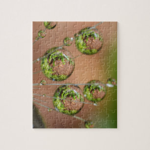 Water Droplet Reflection Jigsaw Puzzle