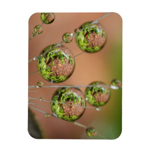 Water Droplet Reflection Magnet (Vertical)