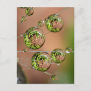 Water Droplet Reflection Postcard