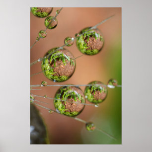 Water Droplet Reflection Poster