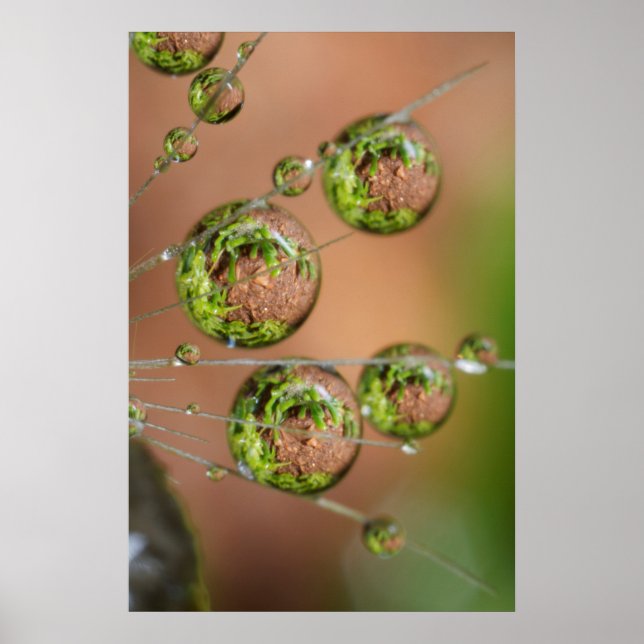 Water Droplet Reflection Poster (Front)