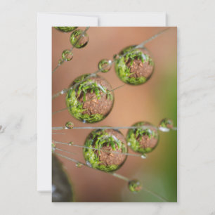 Water Droplet Reflection Thank You Card