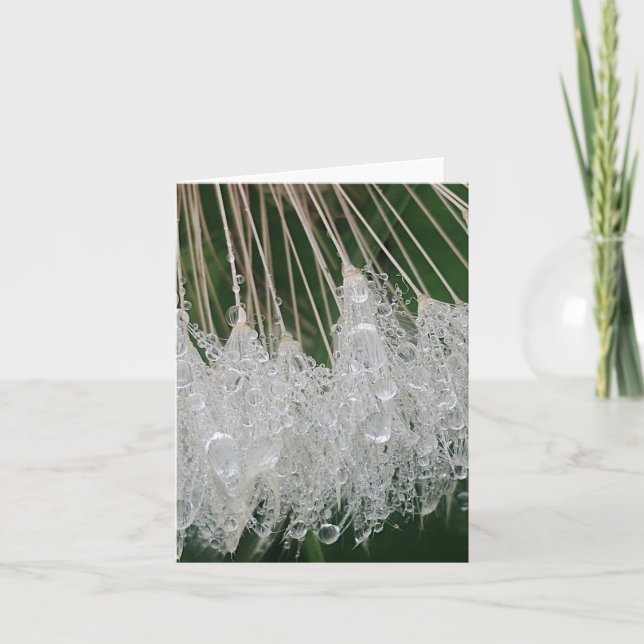 Water droplets holiday card (Front)
