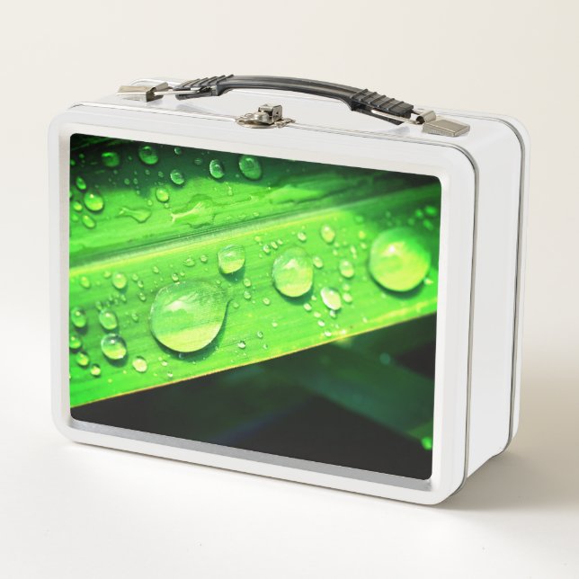 Water Droplets Metal Lunch Box (Front)