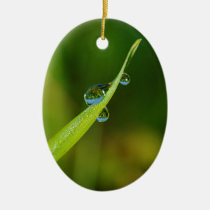 Water Droplets on a Green Blade of Grass Ceramic Tree Decoration