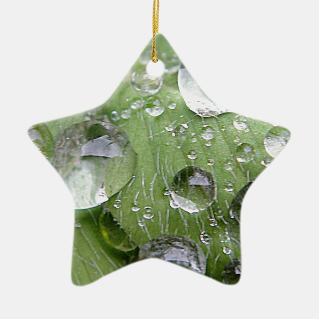 Water droplets on a green leaf ceramic tree decoration (Front)