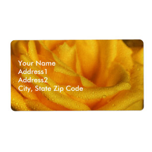 Water Droplets on Elegant Yellow Rose