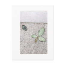 Water droplets on leaves photography