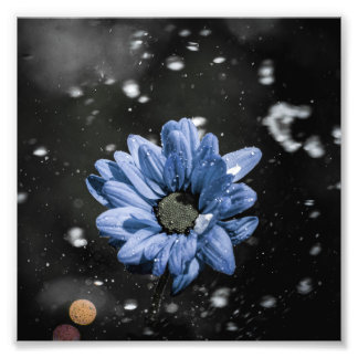 Water Droplets Photo Print