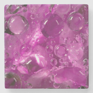 Water drops on flower, California Stone Coaster