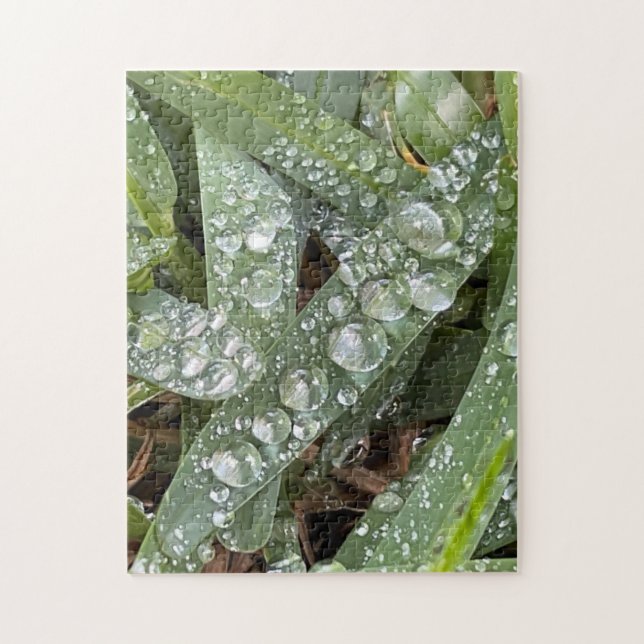 Water drops on grass jigsaw puzzle (Vertical)