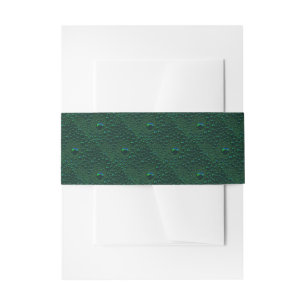 Water Drops on Green Metal Invitation Belly Band