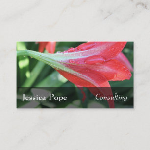 Water Drops on Red Daylilies Photo, 2 Business Card