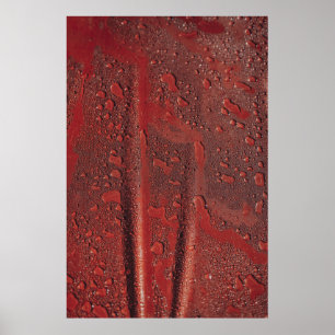 Water drops on red hood poster