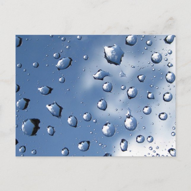 Water Drops on Spider Web Against Blue Sky Postcard (Front)