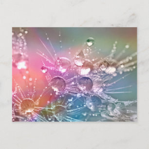Water Drops Postcard