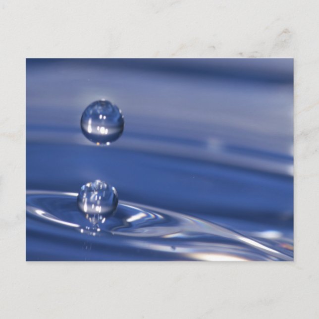 Water Drops Postcard (Front)