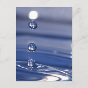 Water Drops Postcard
