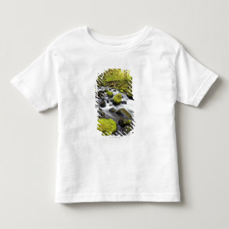 Water Flowing By Moss Covered Rocks In A Stream Toddler T-Shirt