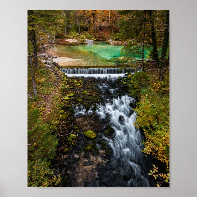 Water flowing through autumn forest poster (Front)