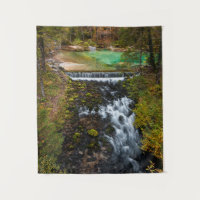 Water flowing through autumn forest