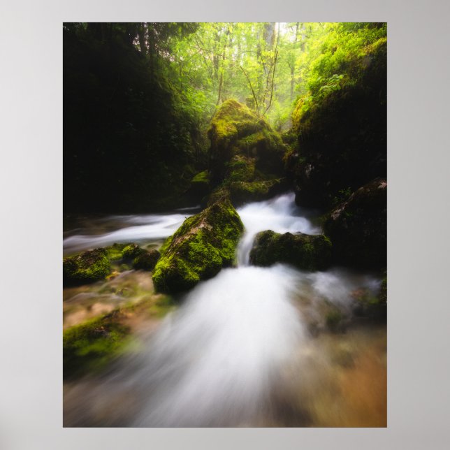 Water flowing through enchanted mossy forest poster (Front)