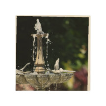 Water Fountain at Hollis Gardens