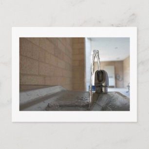 Water Fountain Postcard