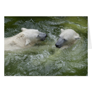 Water Fun Polar Bears