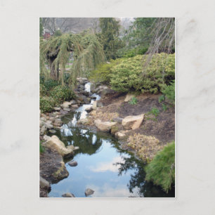 Water Garden Postcard