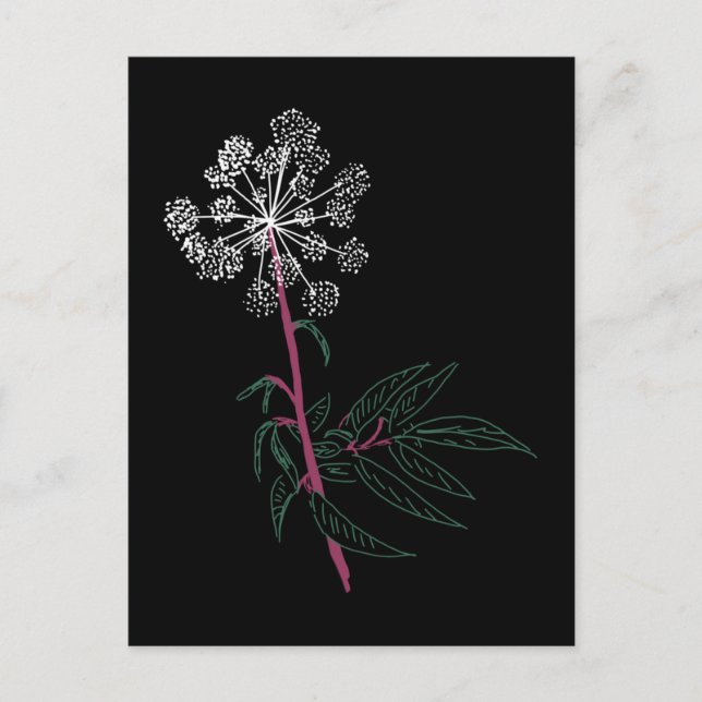 Water Hemlock Postcard (Front)