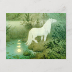 Water Horse Kelpie Artwork Postcard