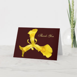 Water Iris ~ card
