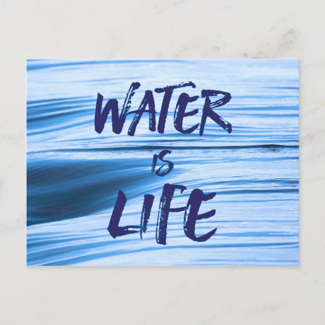 Water is life. No DAPL, Keystone XL, coal ash Postcard (Front)