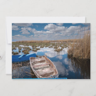 Water Kayseri Turkey Thank You Card