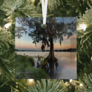 Water Kraft Azalea Park Maitland Florida Glass Tree Decoration