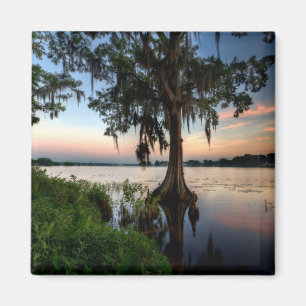 Water   Kraft Azalea Park Maitland Florida Magnet