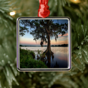 Water   Kraft Azalea Park Maitland Florida Metal Ornament
