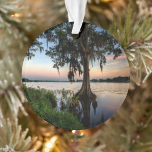 Water   Kraft Azalea Park Maitland Florida Ornament